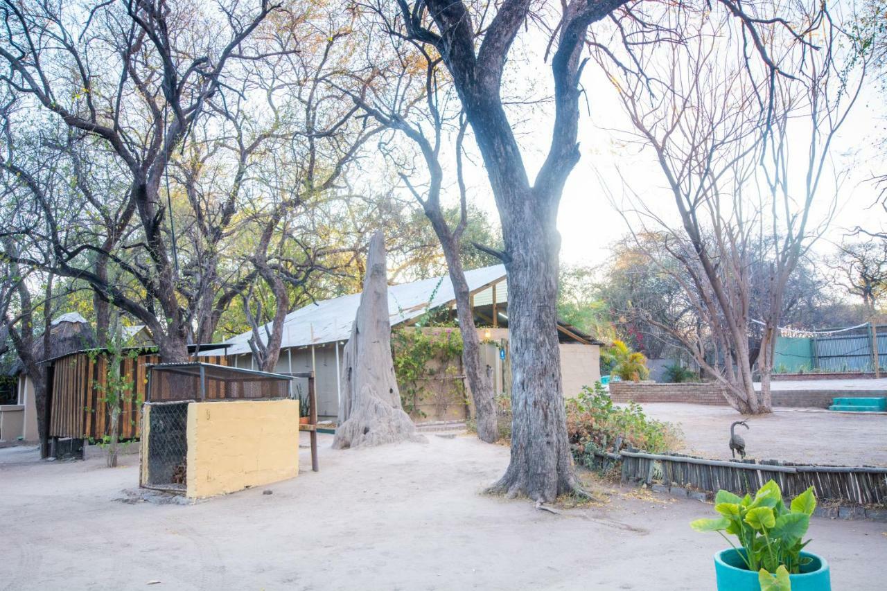 Sitatunga Campsite 马翁 外观 照片